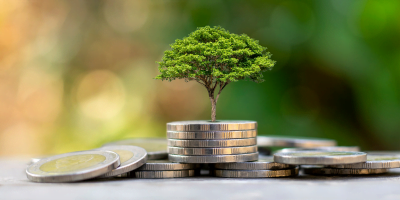 How I Ignited My Investing Journey During the 2020 Pandemic